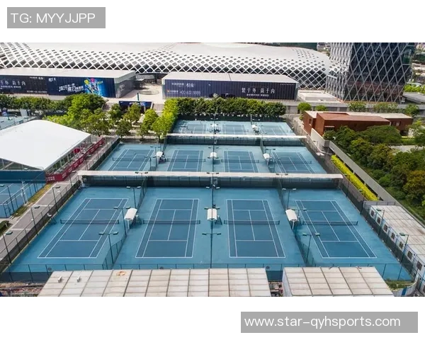 体育实时数据深度解析深圳网球队各队员实力对比及战术优势分析